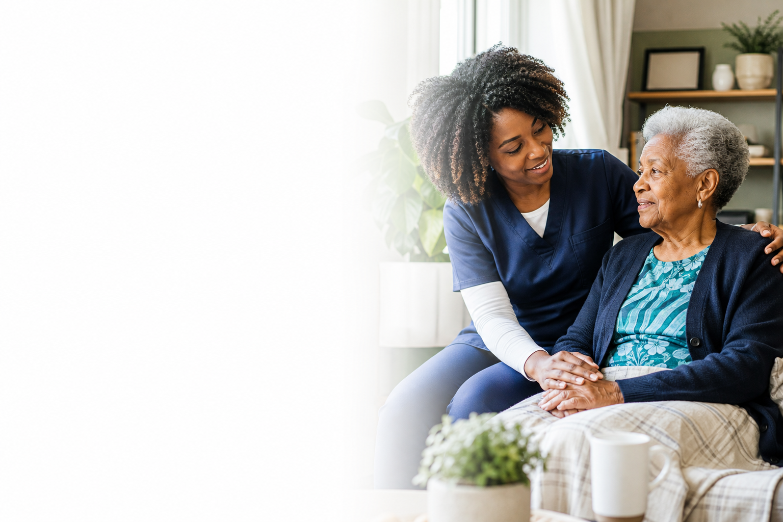 Home and community based services care delivery